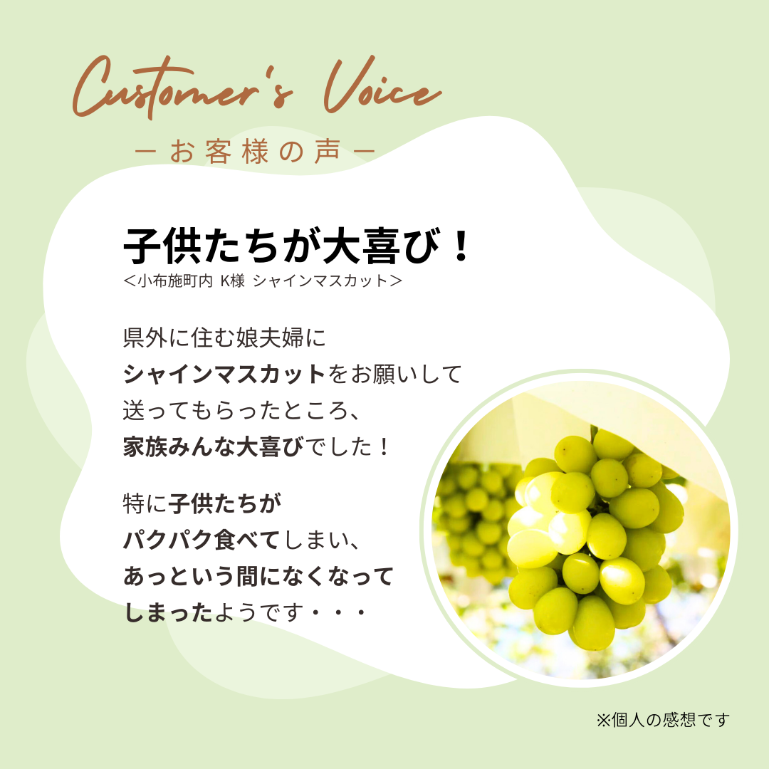 シャインマスカット 約2kg 【送料無料】