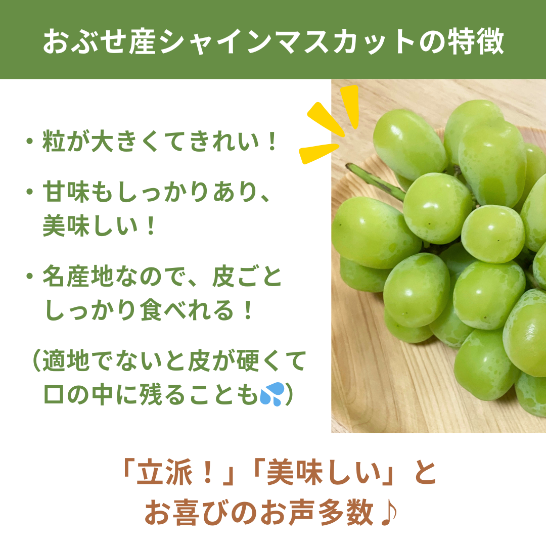 シャインマスカット 約1kg 【送料無料】