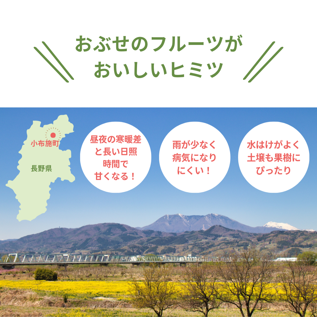 あいかの香り(訳あり家庭用)約3kg 【送料無料】