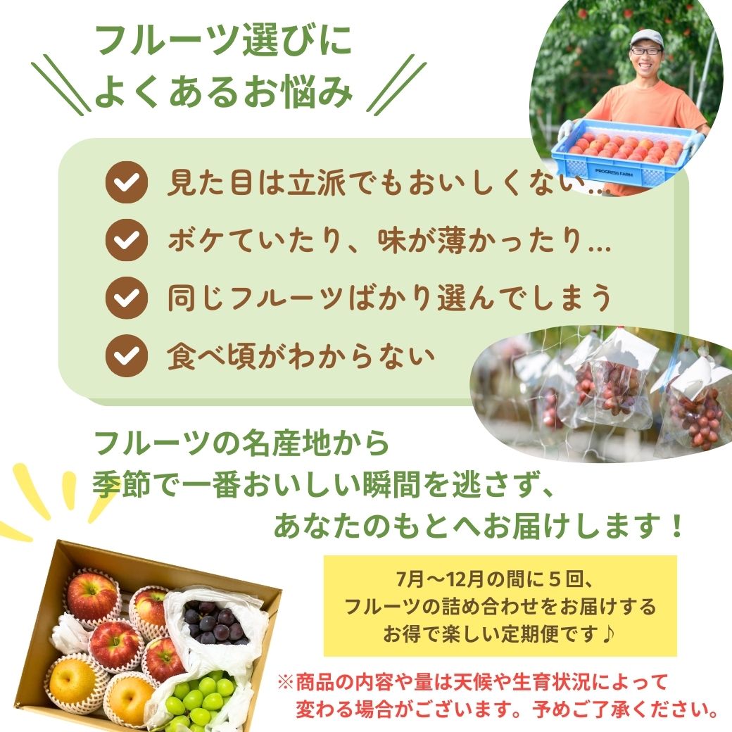 旬の定期便【5回お届け】旬のフルーツをおいしくお得に食べ比べ♪