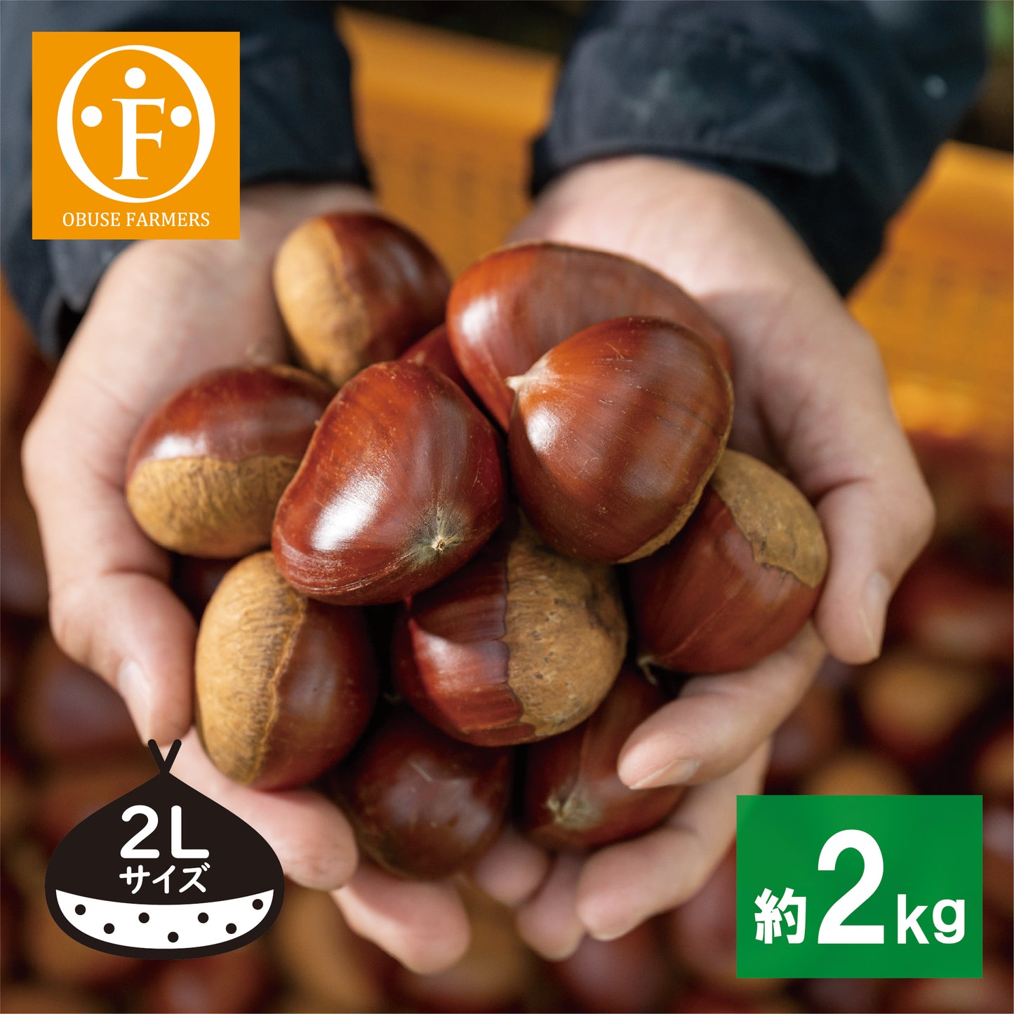 小布施町産 無燻蒸小布施栗 2kg 【送料無料】