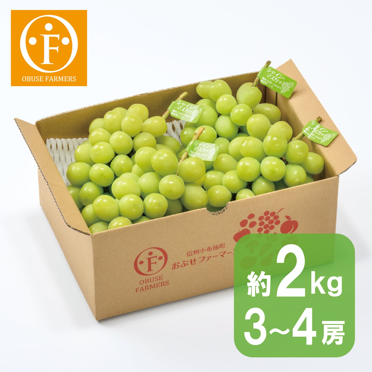 シャインマスカット 約2kg 【送料無料】