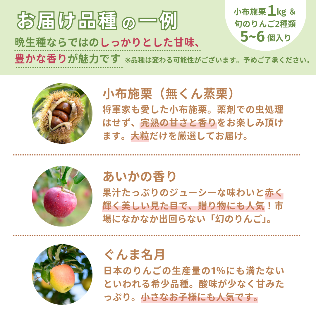 【送料無料】小布施の秋の味覚盛りだくさん!栗とりんごの詰合せセット