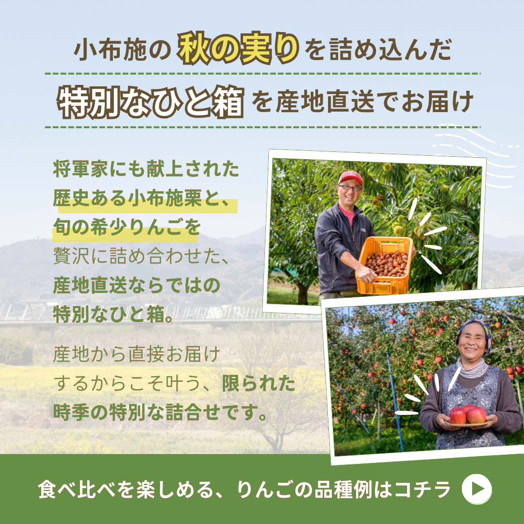 【送料無料】小布施の秋の味覚盛りだくさん!栗とりんごの詰合せセット