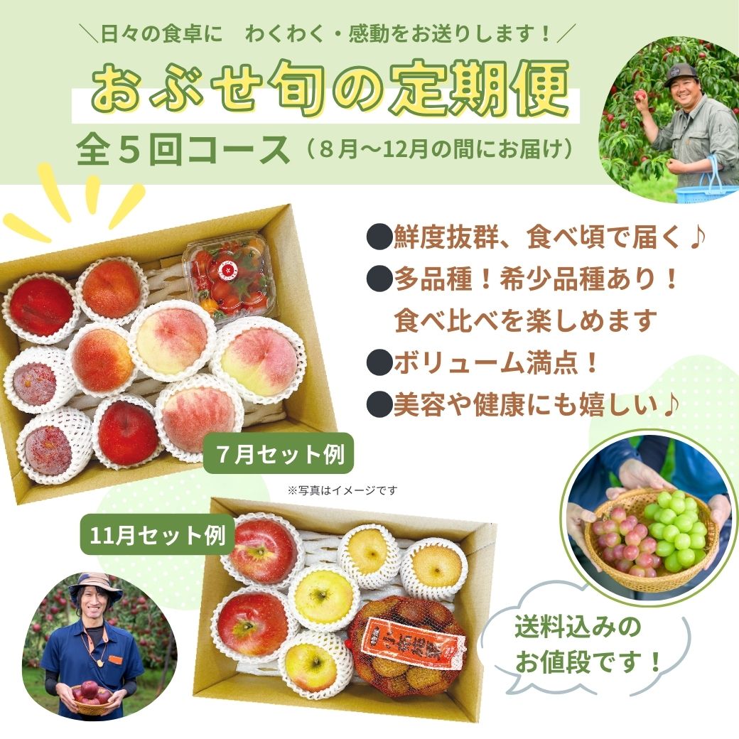 旬の定期便【5回お届け】旬のフルーツをおいしくお得に食べ比べ♪