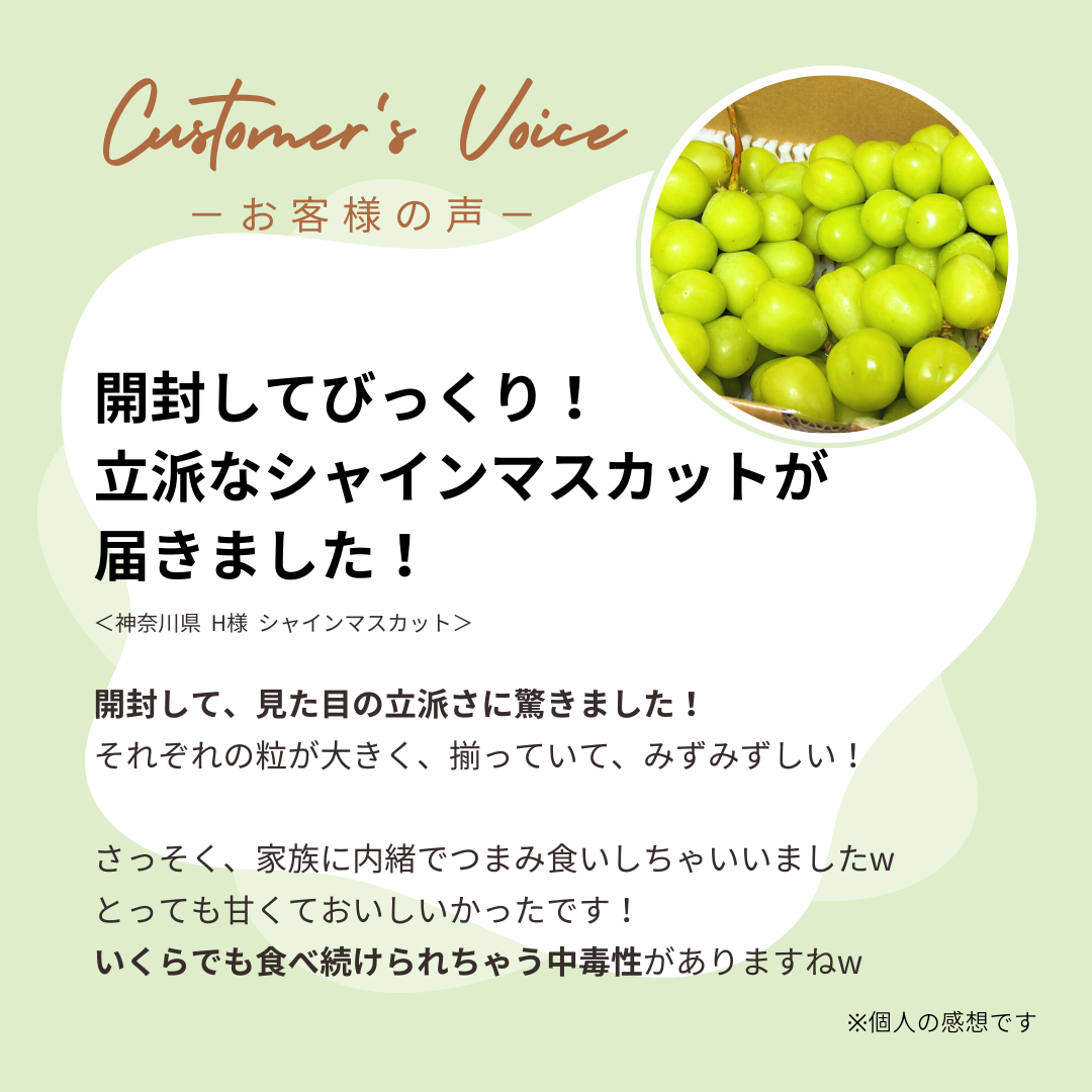 シャインマスカット 約1kg 【送料無料】