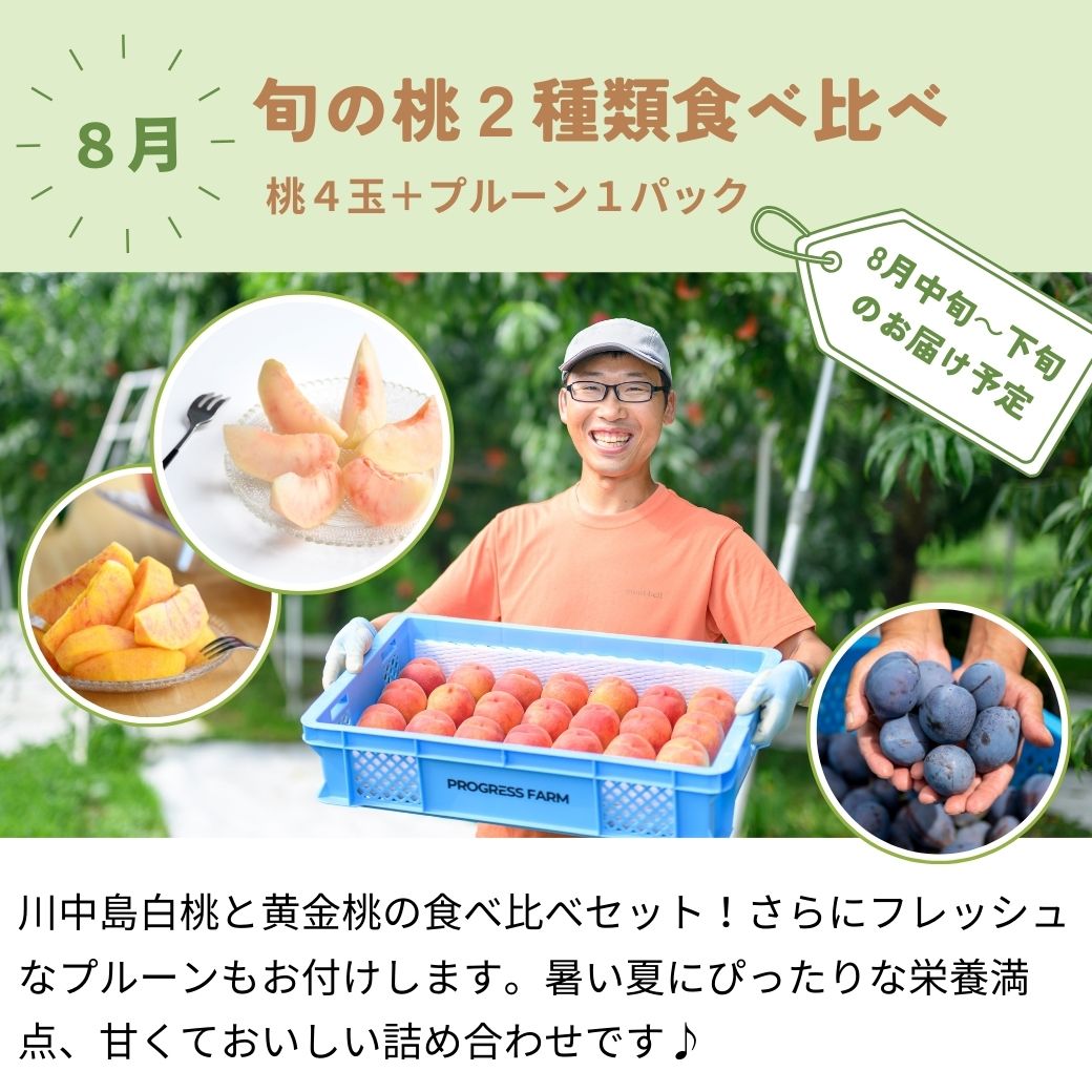 旬の定期便【5回お届け】旬のフルーツをおいしくお得に食べ比べ♪