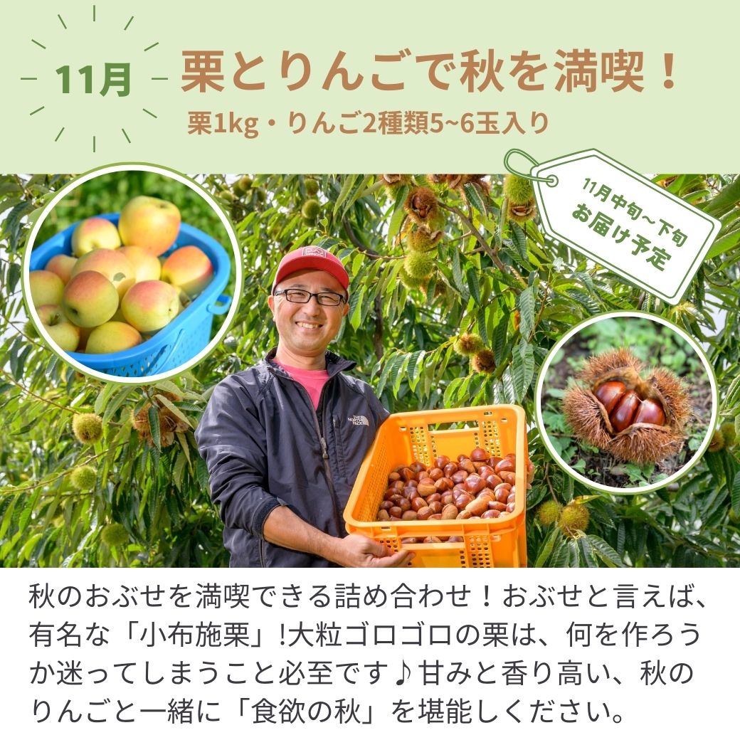 旬の定期便【5回お届け】旬のフルーツをおいしくお得に食べ比べ♪