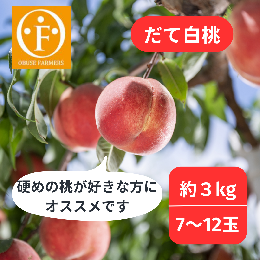 だて白桃 約3kg