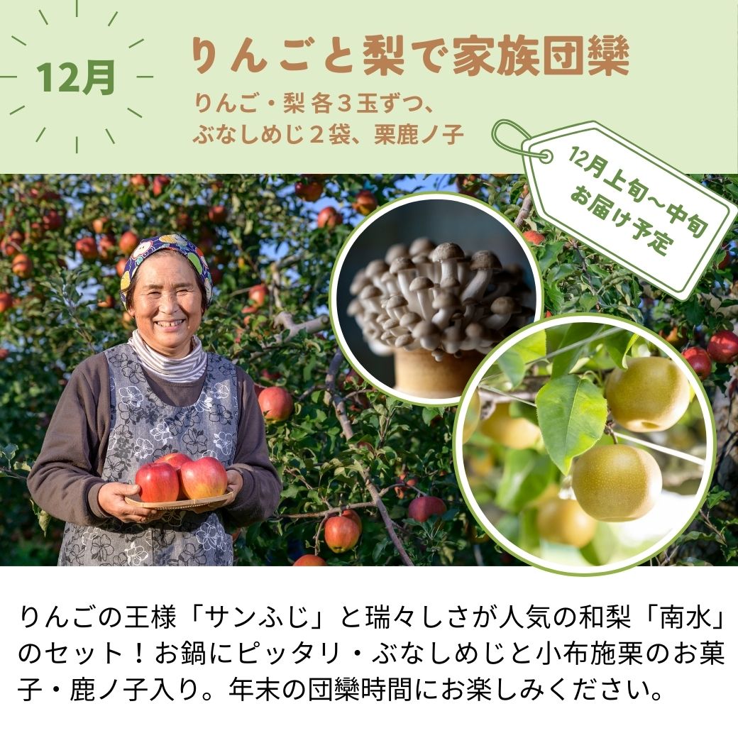 旬の定期便【5回お届け】旬のフルーツをおいしくお得に食べ比べ♪