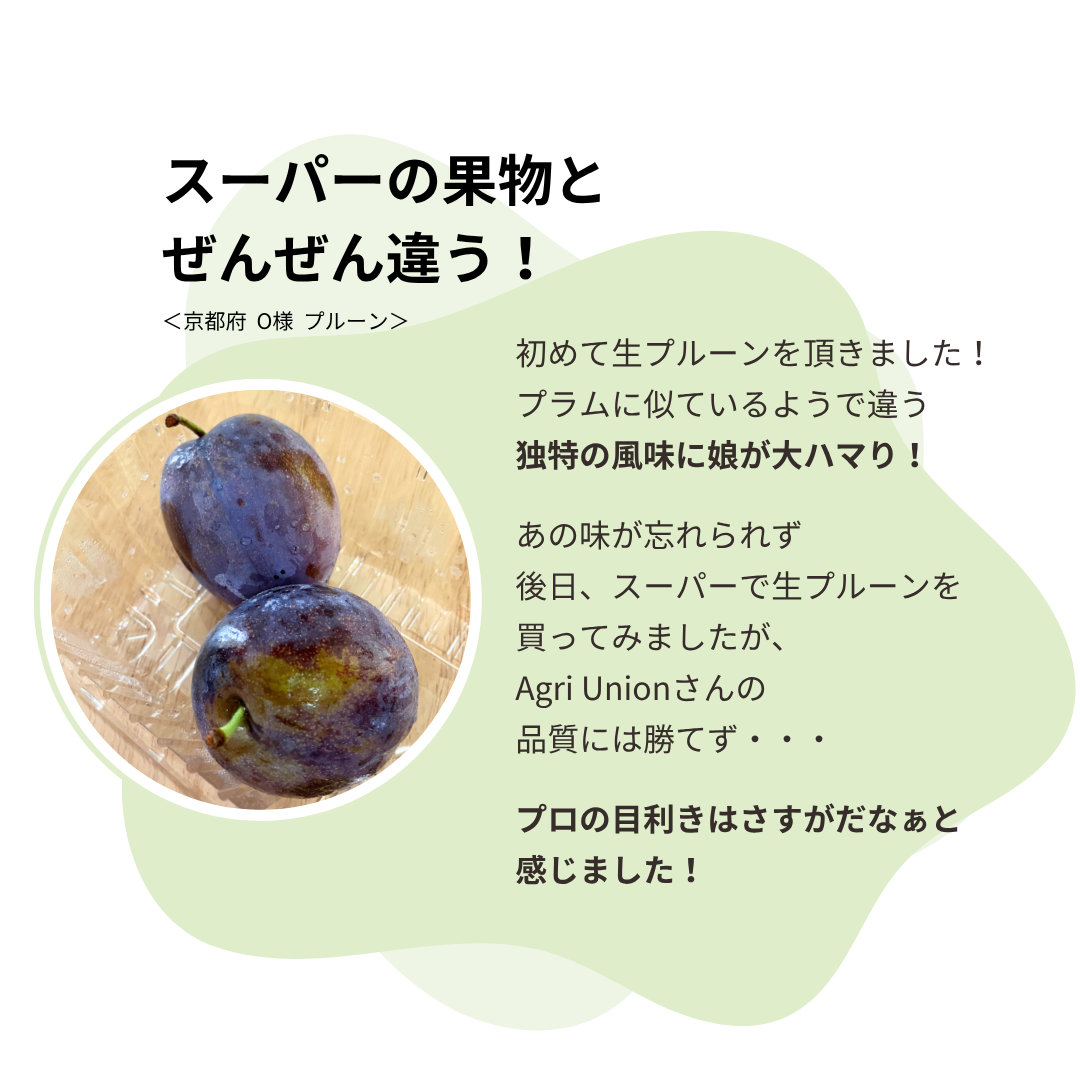 旬の生プルーン 約0.8kg