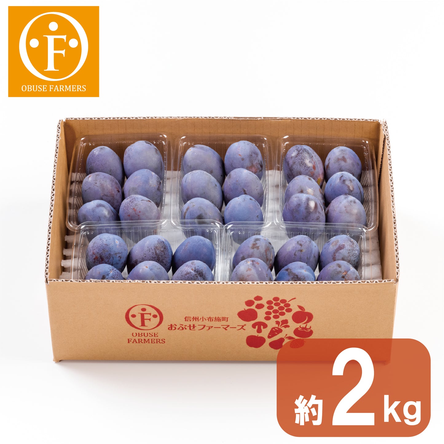 旬の生プルーン 約2kg