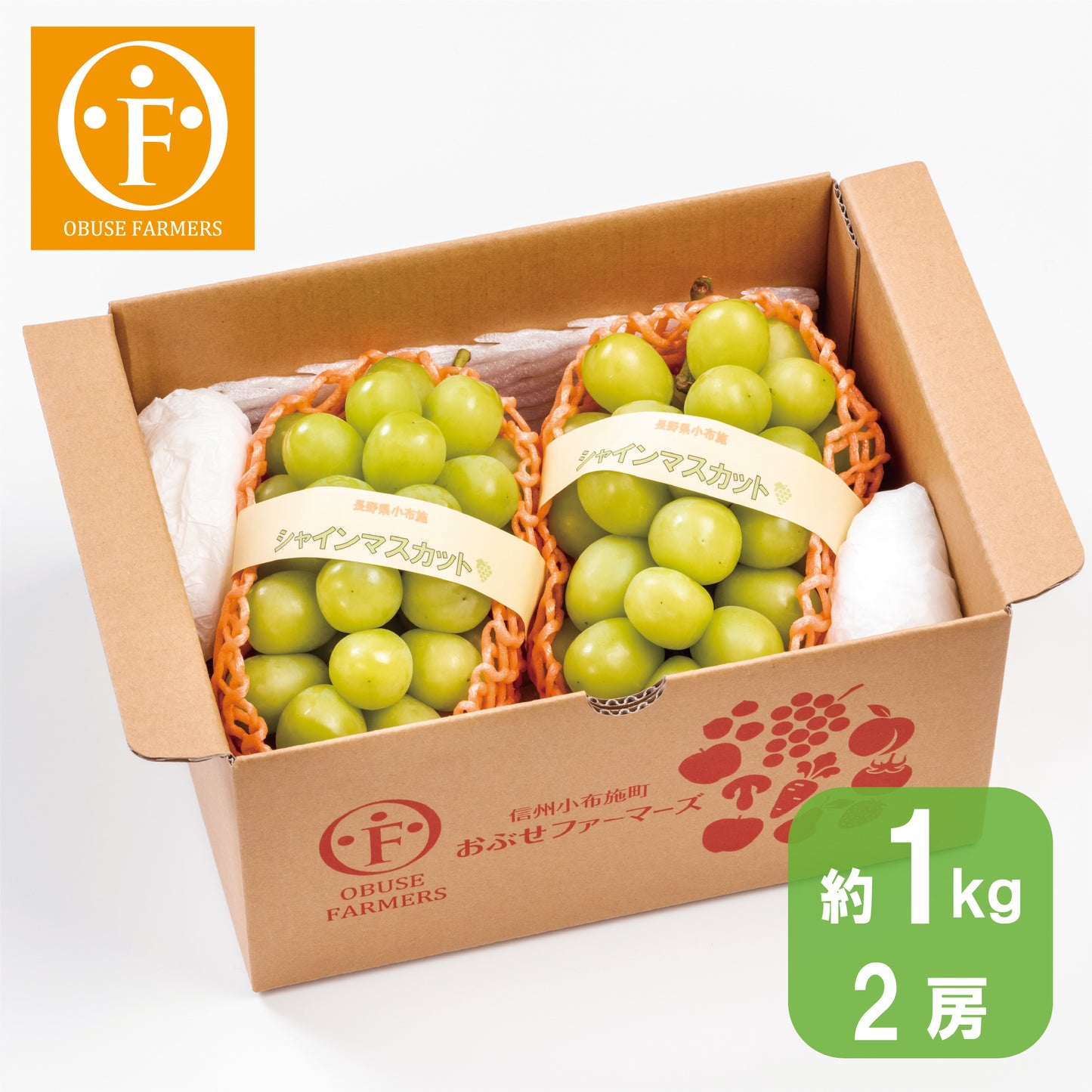 シャインマスカット 約1kg 【送料無料】