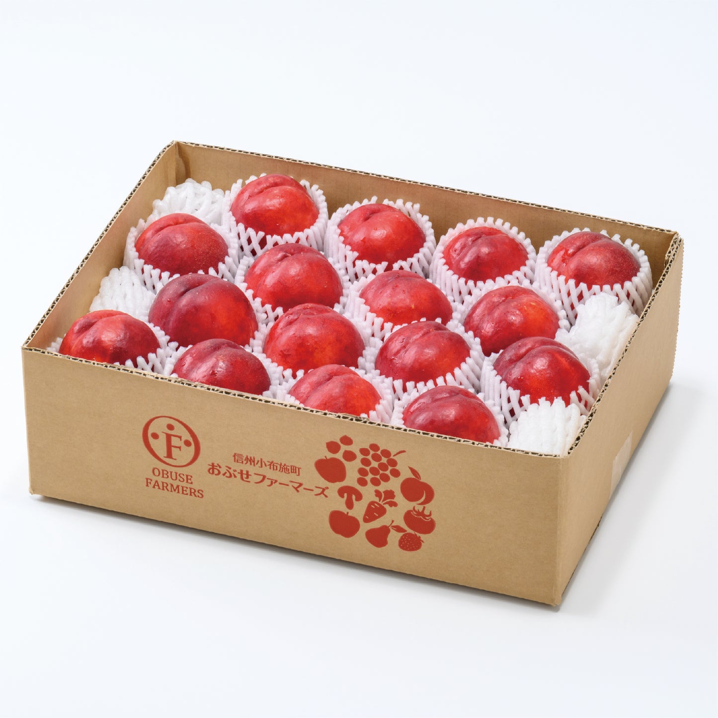 旬のネクタリン 約2.6kg【送料無料】