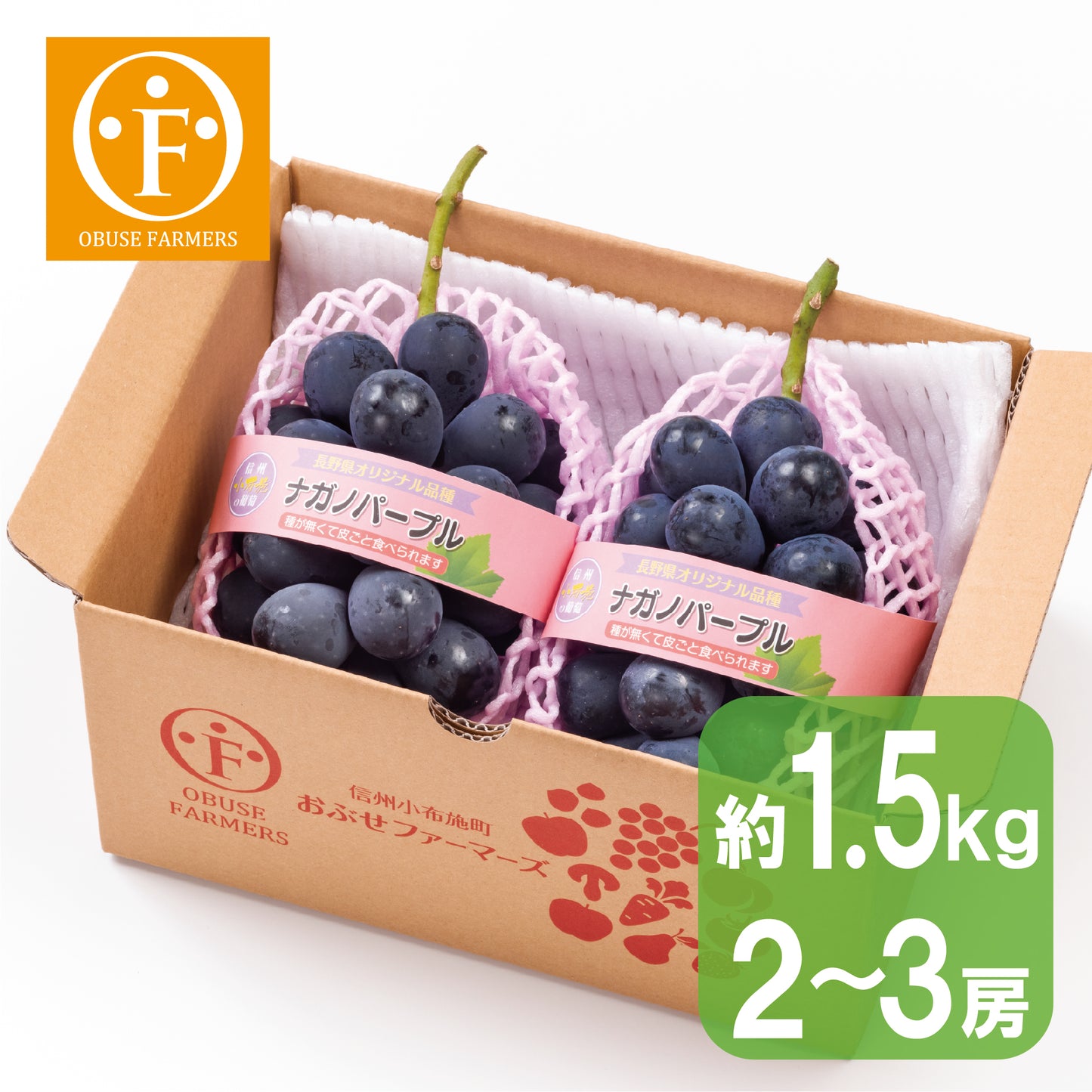 ナガノパープル 約1.5kg 【送料無料】