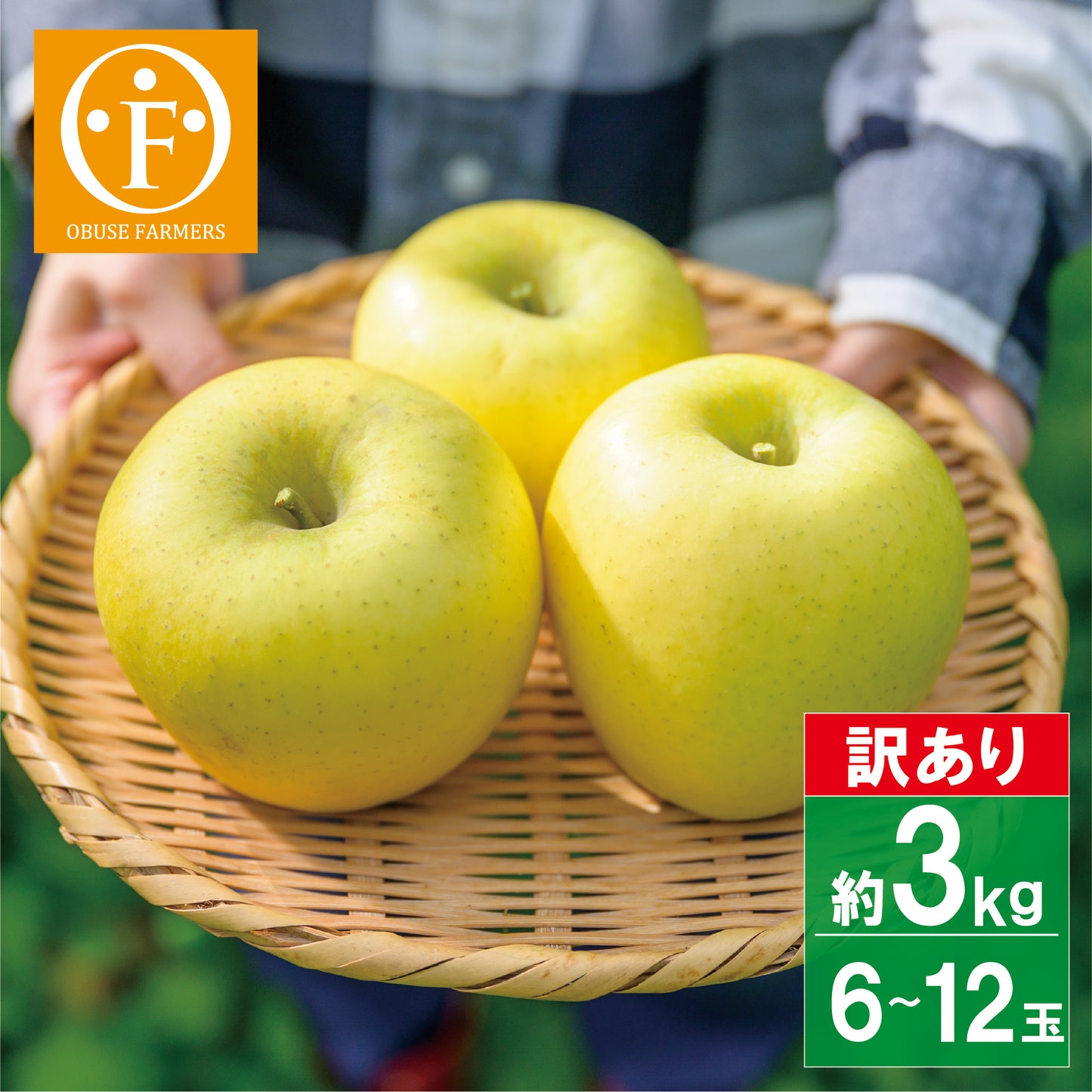 シナノゴールド(訳アリ家庭用)約3kg 【送料無料】