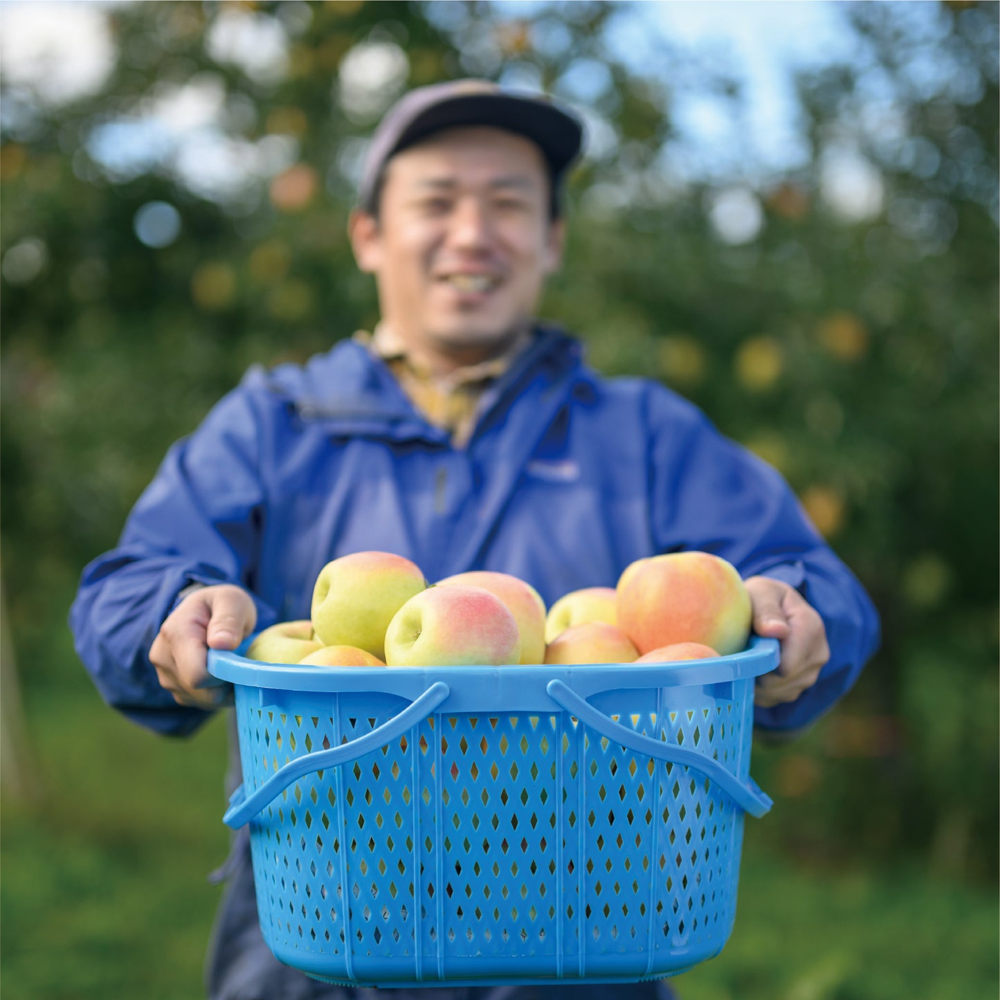 【送料無料】小布施の秋の味覚盛りだくさん!栗とりんごの詰合せセット