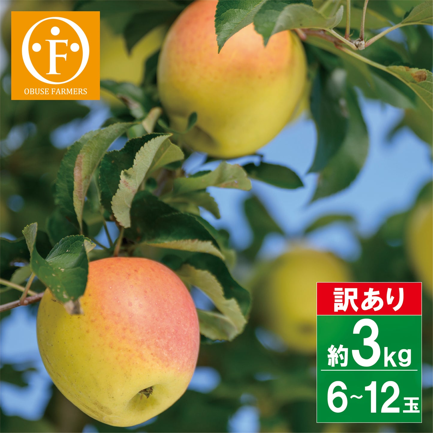 ぐんま名月(訳アリ家庭用)約3kg 【送料無料】