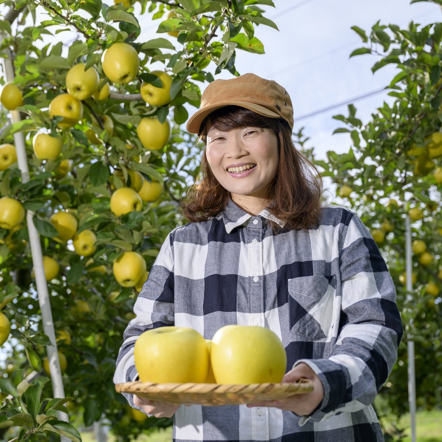 シナノゴールド(訳アリ家庭用)約3kg 【送料無料】