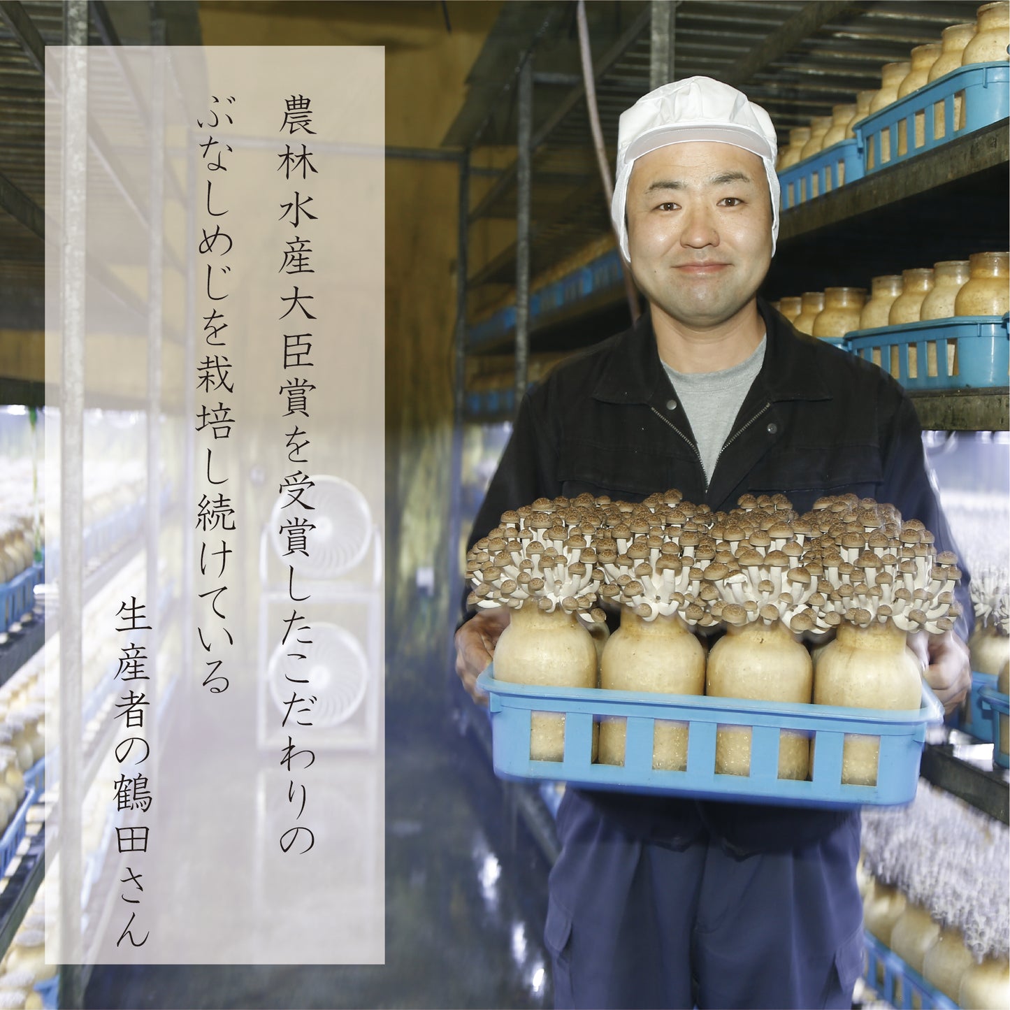 小布施産 カット済み ぶなしめじ300g 4袋