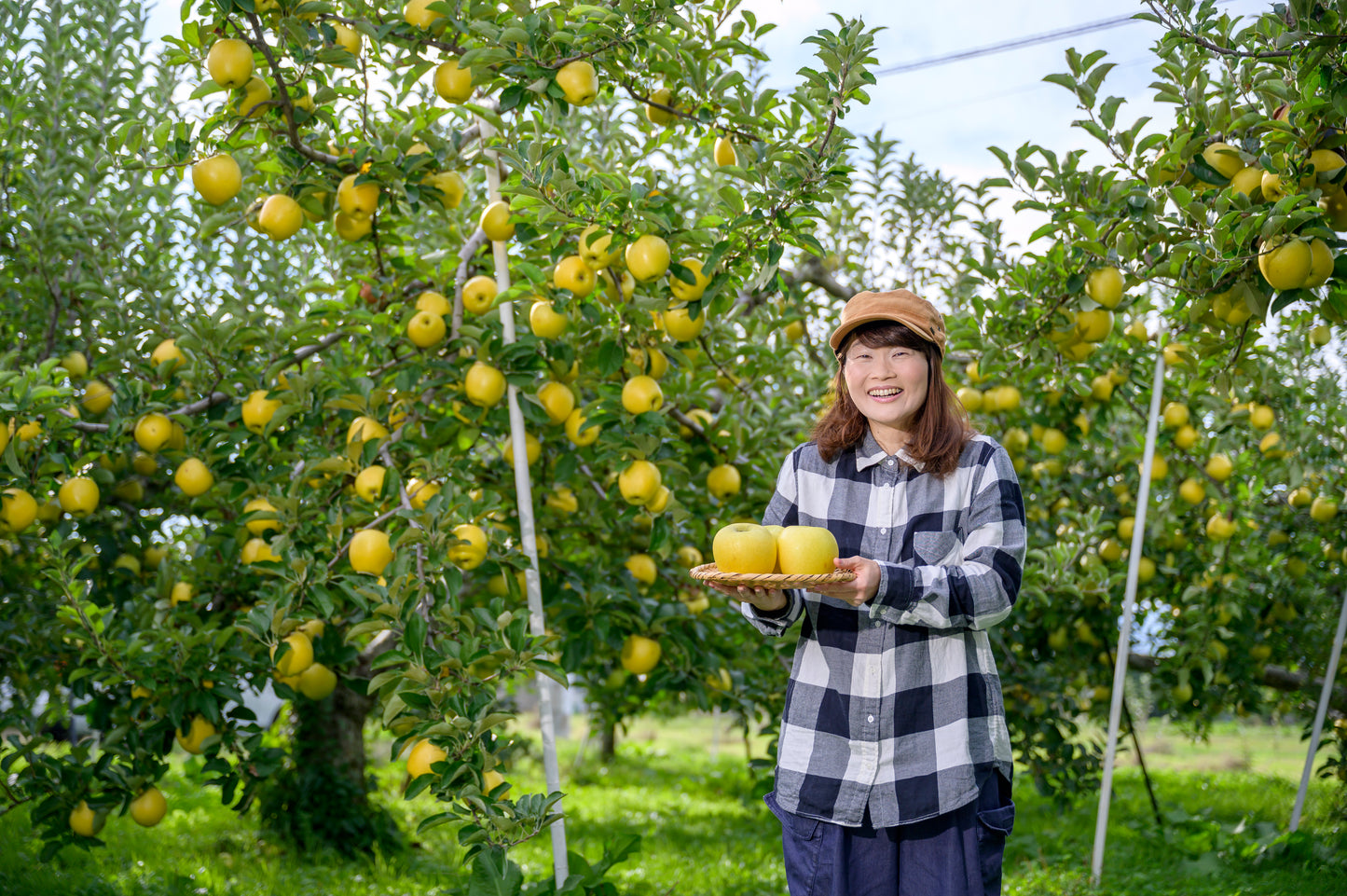 【送料無料】旬のりんご３種食べ比べセット