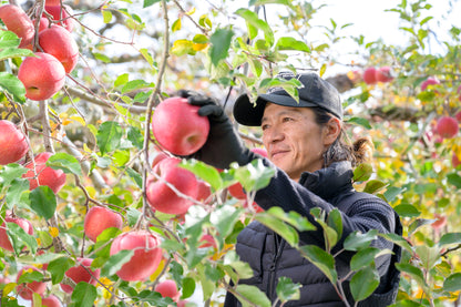 【送料無料】年末年始にご家族でおススメの果物&くり鹿ノ子セット
