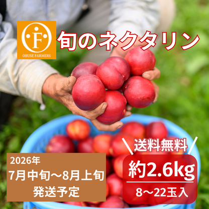 旬のネクタリン　約2.6kg【送料無料】