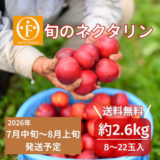 旬のネクタリン　約2.6kg【送料無料】