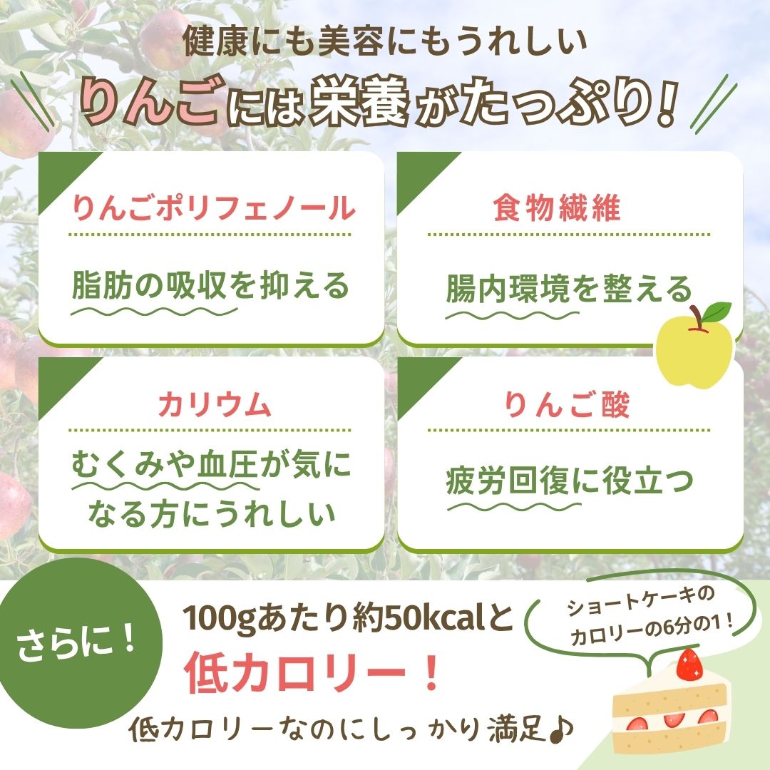【送料無料】旬のりんご３種食べ比べセット