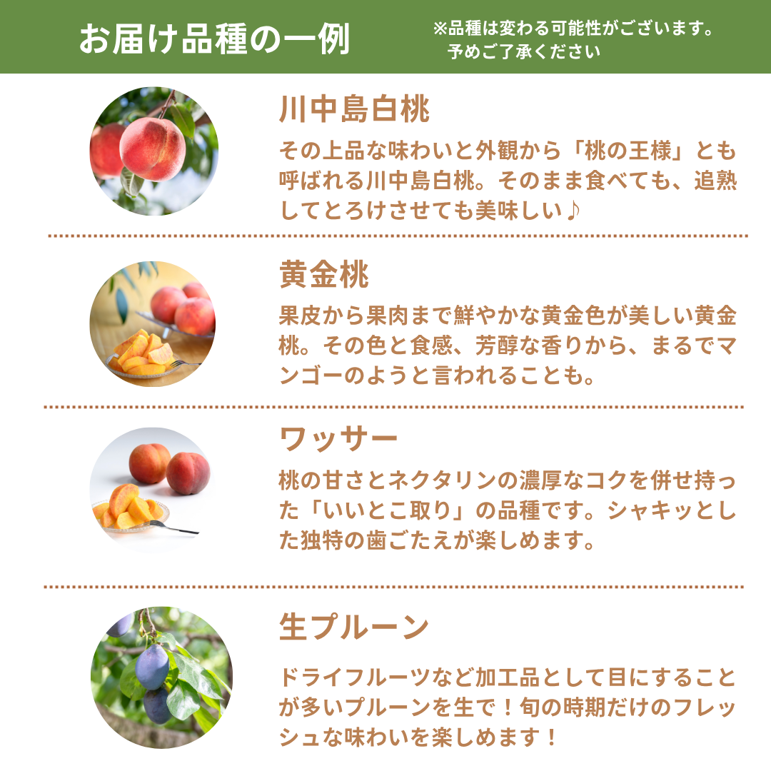 【送料無料・夏の詰め合わせセット】暑い夏を乗り切ろう！信州の夏を代表する味覚詰め合わせセット