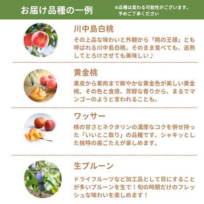 【送料無料・夏の詰め合わせセット】暑い夏を乗り切ろう！信州の夏を代表する味覚詰め合わせセット