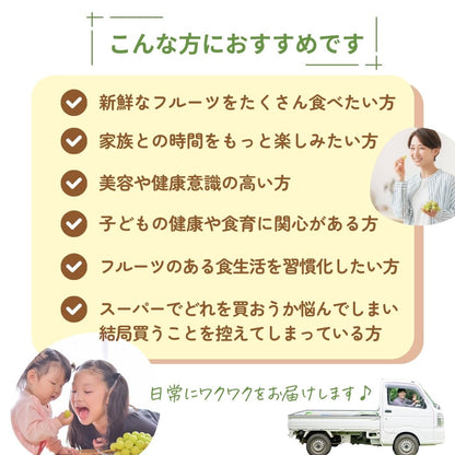 旬の定期便【５回お届け】旬のフルーツをおいしくお得に食べ比べ♪