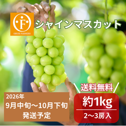 シャインマスカット  約1kg　【送料無料】