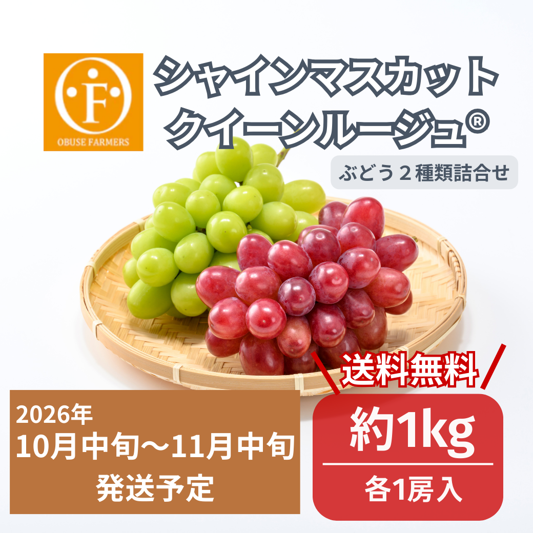 シャインマスカット＆クイーンルージュ®詰合せ　約1kg（各1房入）【送料無料】