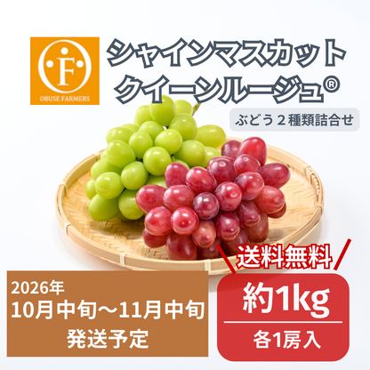 シャインマスカット＆クイーンルージュ®詰合せ　約1kg（各1房入）【送料無料】
