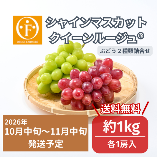 シャインマスカット＆クイーンルージュ®詰合せ　約1kg（各1房入）【送料無料】