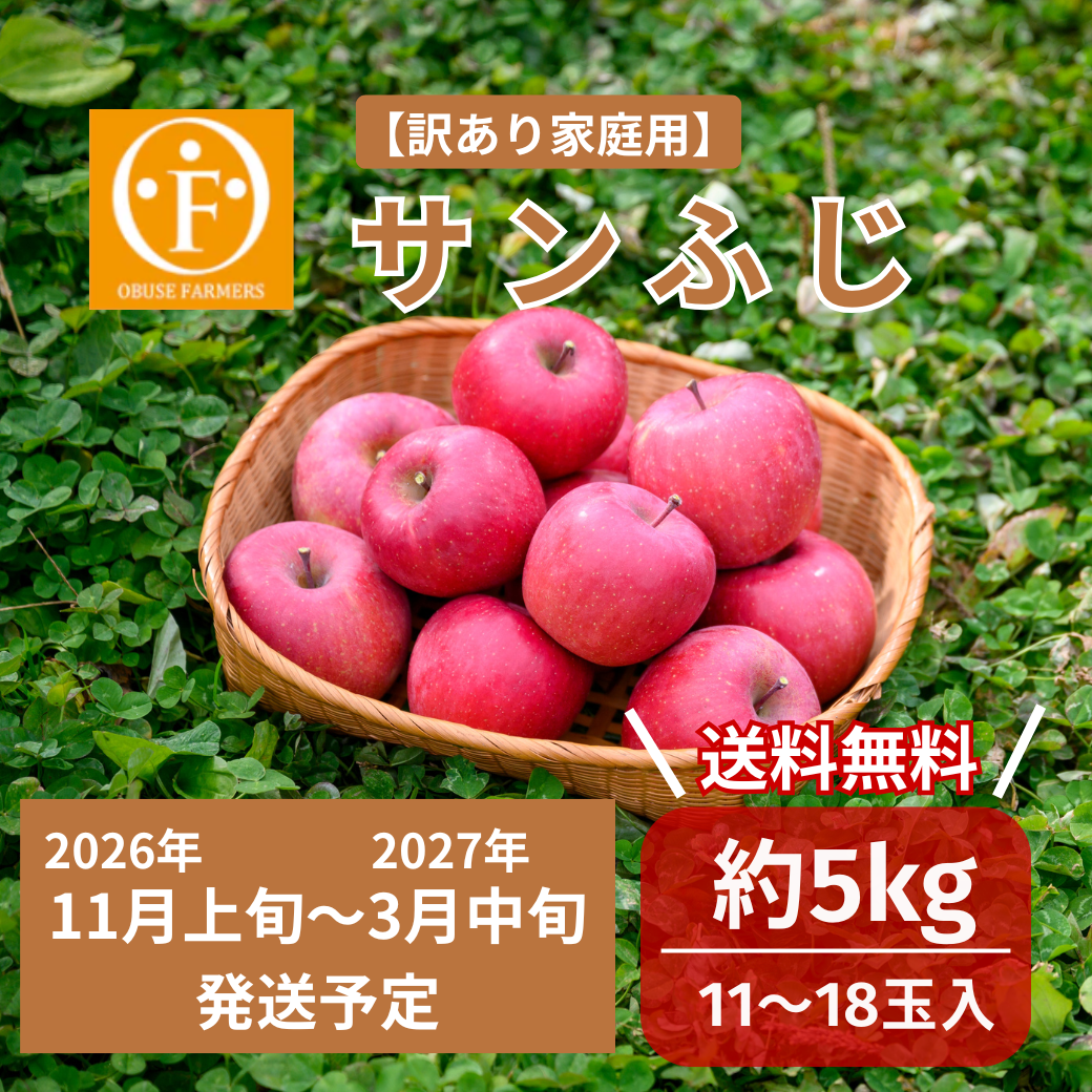 ＼先行予約／サンふじ（訳あり家庭用）約5kg【送料無料】
