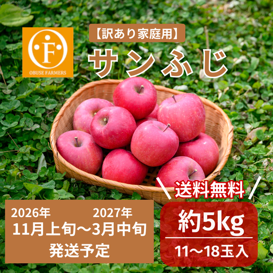 ＼先行予約／サンふじ（訳あり家庭用）約5kg【送料無料】