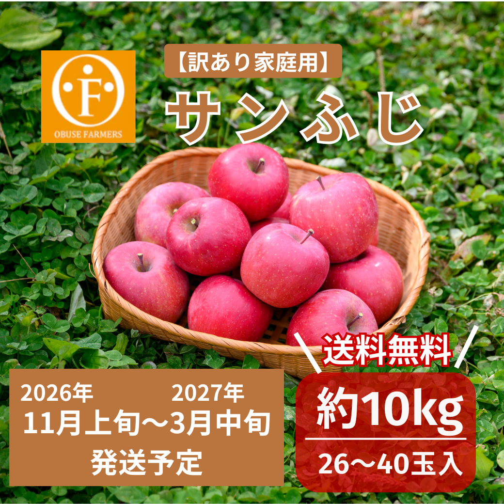 ＼先行予約／サンふじ（訳あり家庭用）約10kg【送料無料】