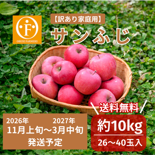 ＼先行予約／サンふじ（訳あり家庭用）約10kg【送料無料】