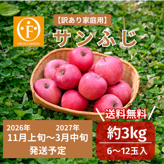 サンふじ（訳あり家庭用）約3kg【送料無料】