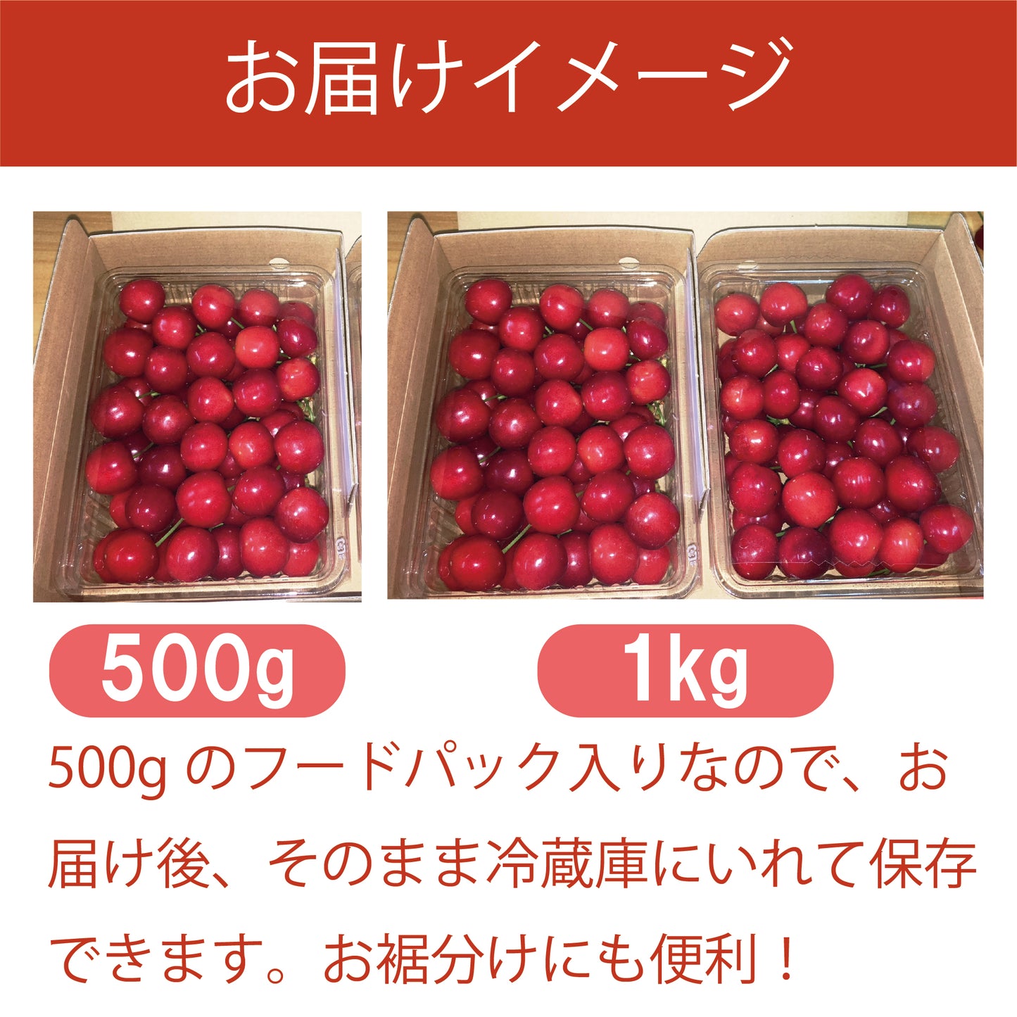 【数量限定】さくらんぼ　佐藤錦　約1kg【送料無料】
