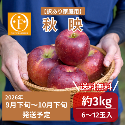 りんご　秋映（訳アリ家庭用） 約3kg　【送料無料】
