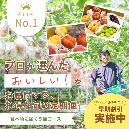 旬の定期便【５回お届け】旬のフルーツをおいしくお得に食べ比べ♪