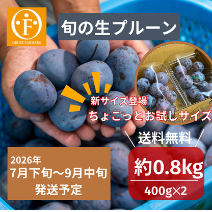 旬の生プルーン 約0.8kg【送料無料】