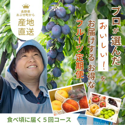 2026年旬の定期便【５回お届け】旬のフルーツをおいしくお得に食べ比べ♪