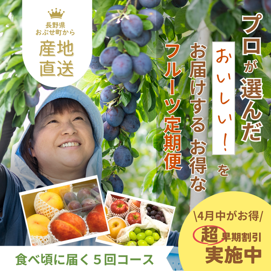 ＼超早期割引期間中╱2026年旬の定期便【５回お届け】旬のフルーツをおいしくお得に食べ比べ♪