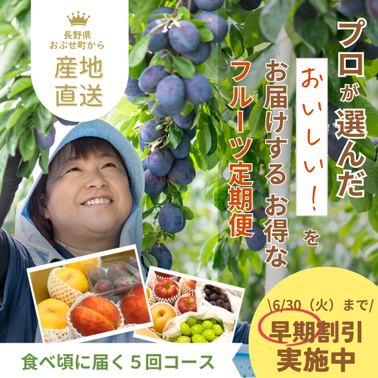 ＼早期割引期間中╱2026年旬の定期便【５回お届け】旬のフルーツをおいしくお得に食べ比べ♪
