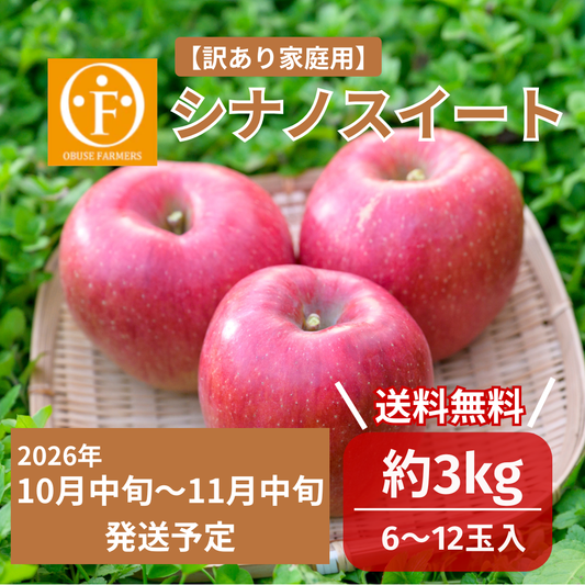 ＼先行予約／シナノスイート（訳あり家庭用）約3kg　【送料無料】