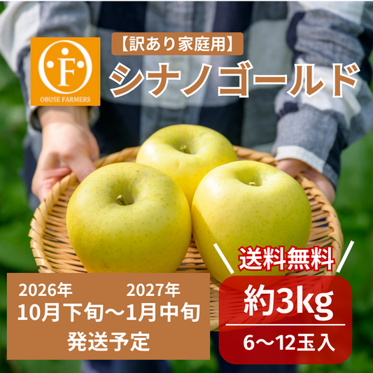 ＼先行予約／シナノゴールド（訳アリ家庭用）約3kg　【送料無料】